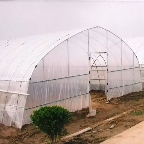 Film PE ou Po/plastique produits de jardin multi-envergure maison de fleurs