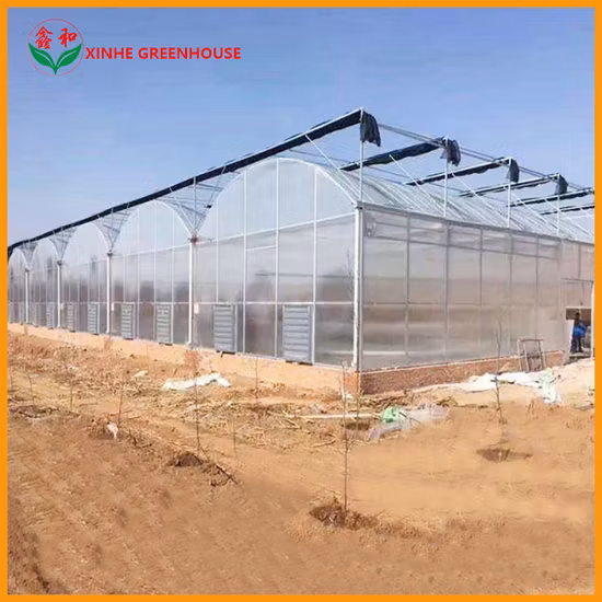 Maison de jardin à effet de serre à film à structure stable