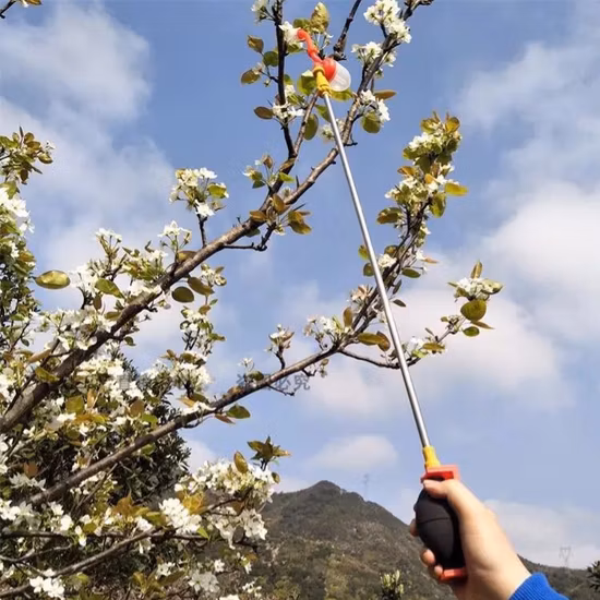 Outil de pollinisation manuel des arbres fruitiers, pollinisateur de légumes