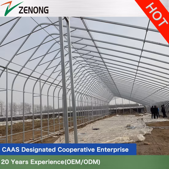 Maison de jardin de serre solaire de film de structure métallique galvanisée à chaud
